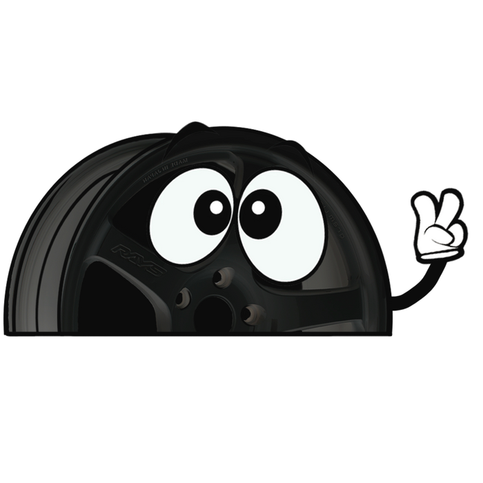 "BLACK 57CR" RAYS WINDOW PEEKER