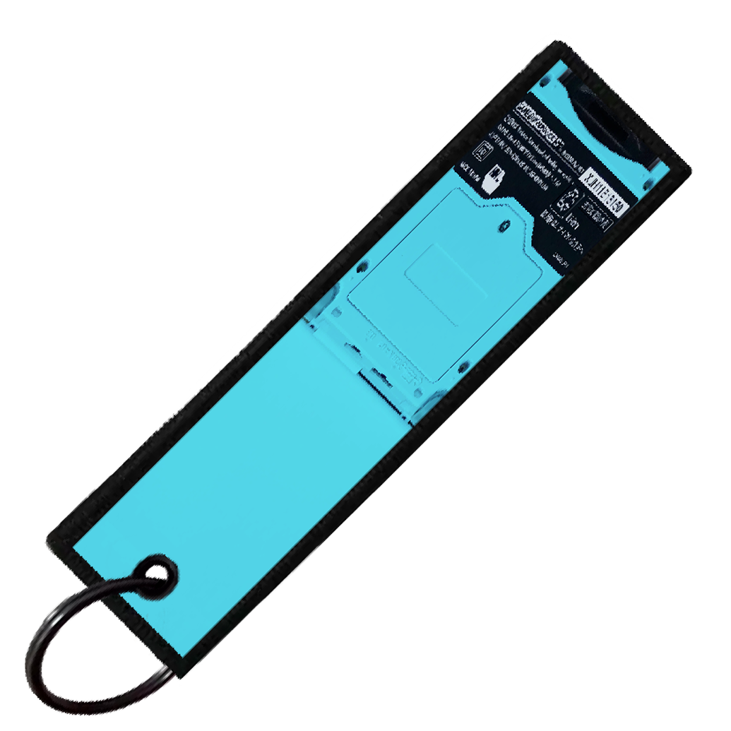 "TENTACRUEL GAMEBOY" CUSTOM KEY TAG