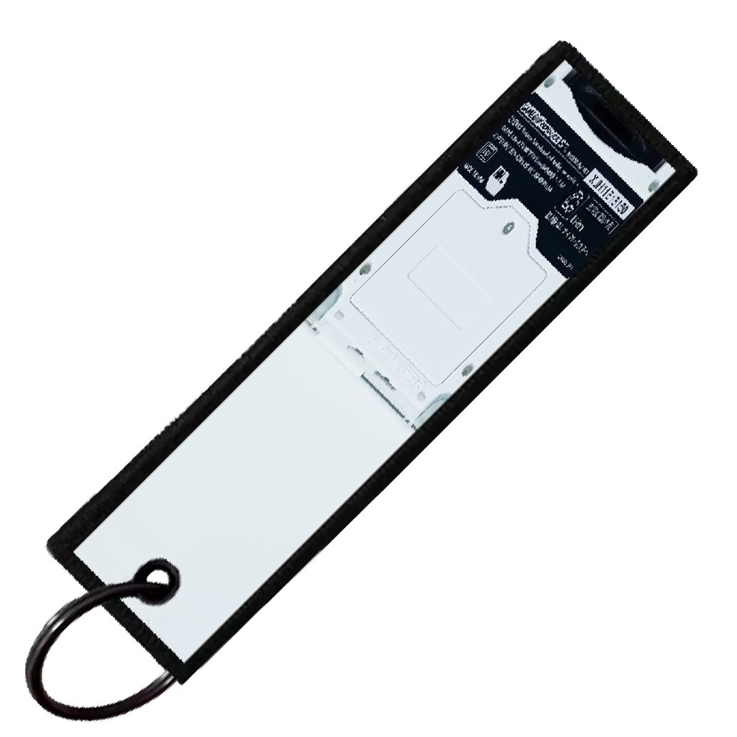 "DEWGONG GAMEBOY" CUSTOM KEY TAG