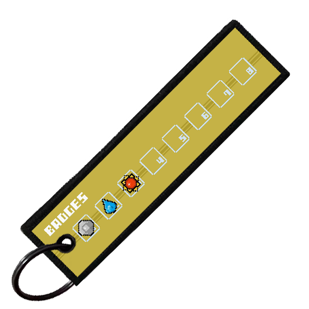 "GYM LEADER LT SURGE" CUSTOM KEY TAG