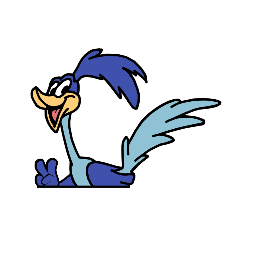 "ROAD RUNNER" LOONEY TUNES WINDOW PEEKER
