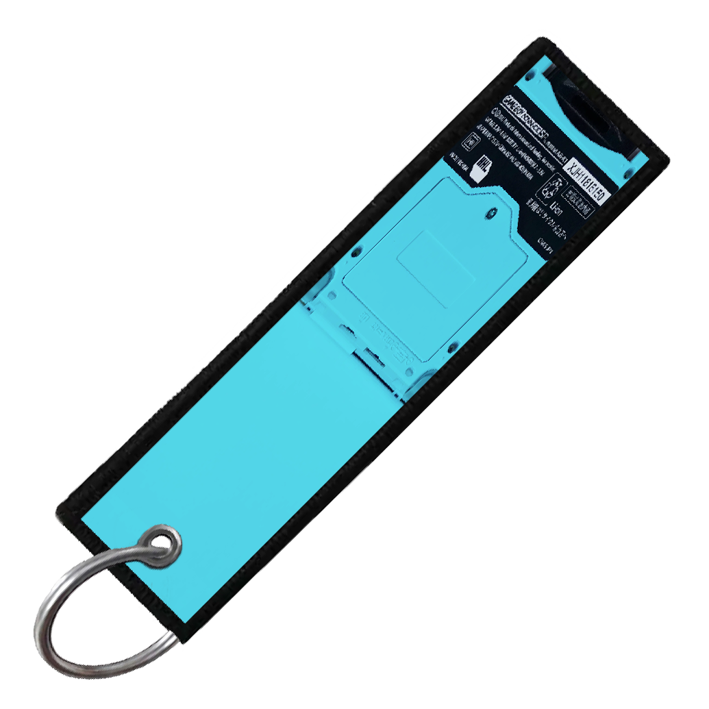 "TENTACOOL GAMEBOY" CUSTOM KEY TAG