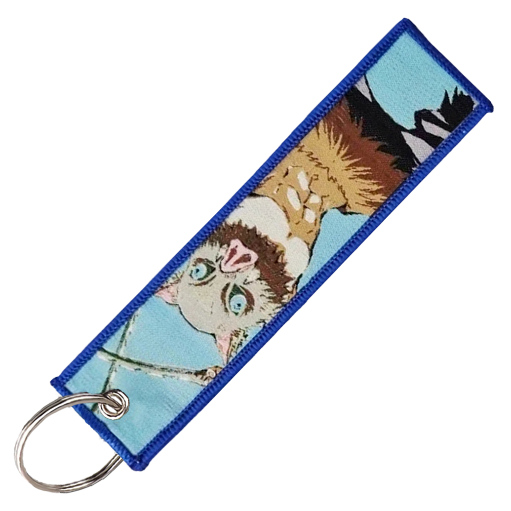 "INOSUKE HASHIBIRA" KEY TAG