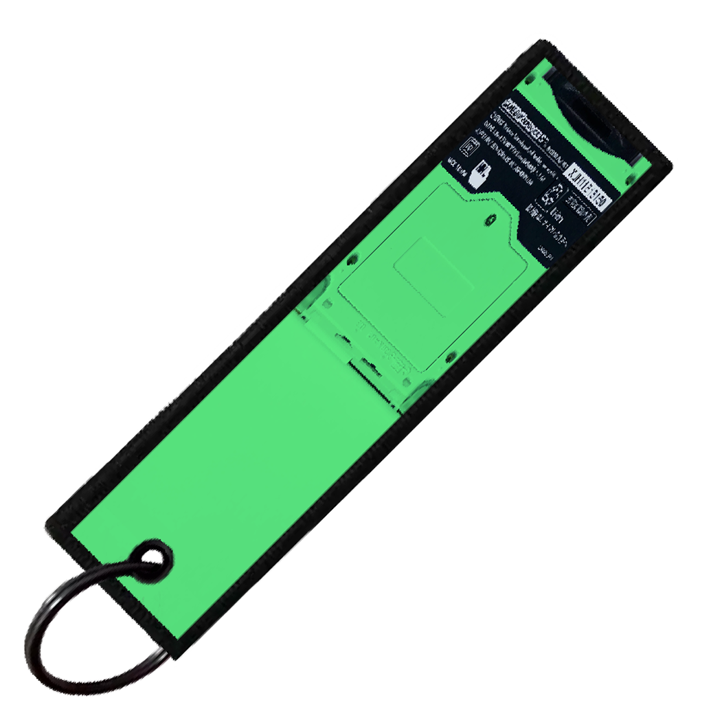 "CATERPIE GAMEBOY" CUSTOM KEY TAG