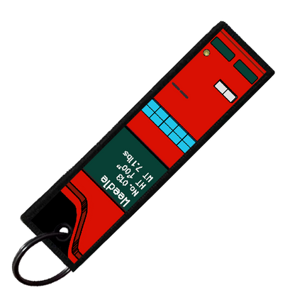 "WEEDLE POKEDEX" CUSTOM KEY TAG
