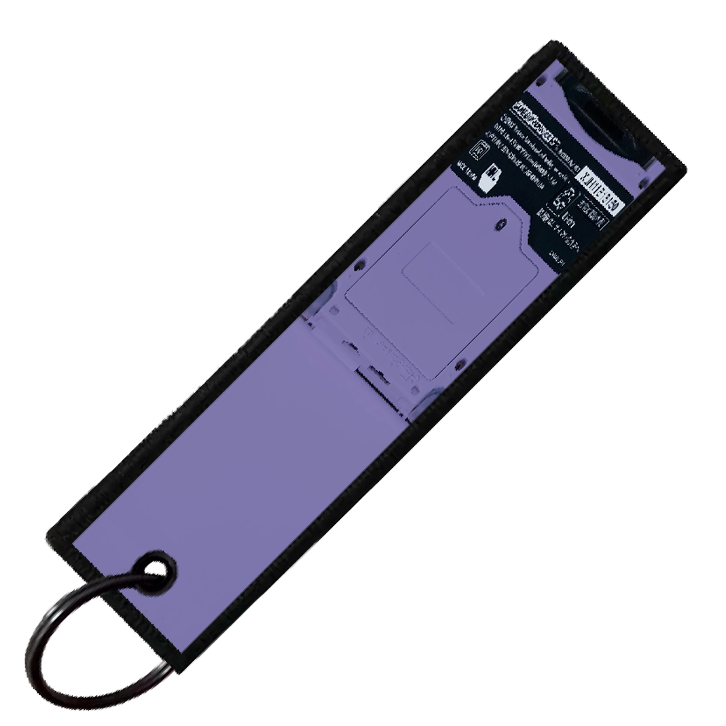 "AERODACTYL GAMEBOY" CUSTOM KEY TAG