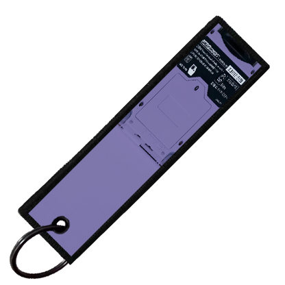 "AERODACTYL GAMEBOY" CUSTOM KEY TAG
