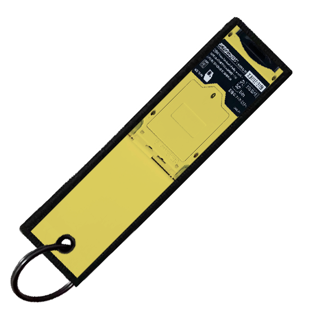 "BEEDRILL GAMEBOY" CUSTOM KEY TAG