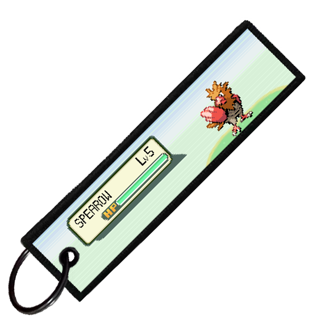 "SPEAROW BATTLE ENCOUNTER" CUSTOM KEY TAG