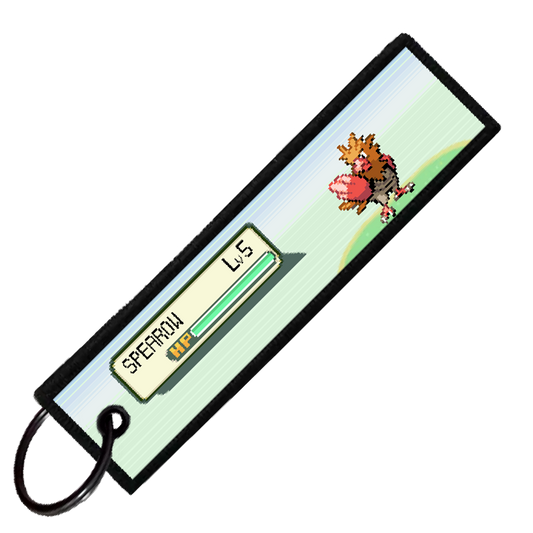 "SPEAROW BATTLE ENCOUNTER" CUSTOM KEY TAG