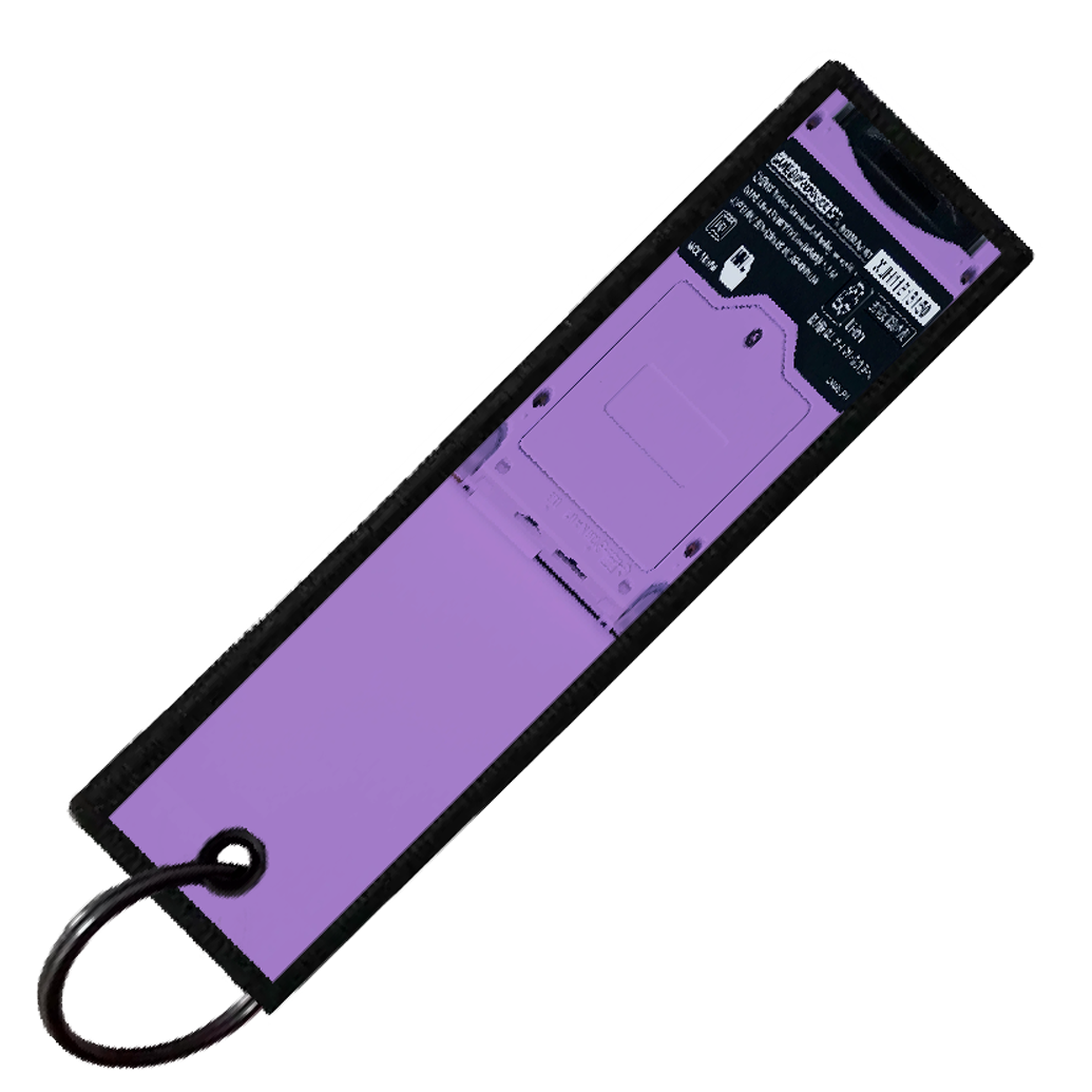 "NIDOKING GAMEBOY" CUSTOM KEY TAG