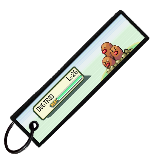 "DUGTRIO BATTLE ENCOUNTER" CUSTOM KEY TAG