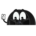 "BLACK TS-5" ENKEI WINDOW PEEKER