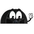"BLACK TS-5" ENKEI WINDOW PEEKER