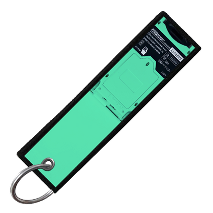 "BULBASAUR GAMEBOY" CUSTOM KEY TAG