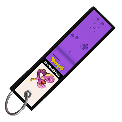 "EKANS GAMEBOY" CUSTOM KEY TAG