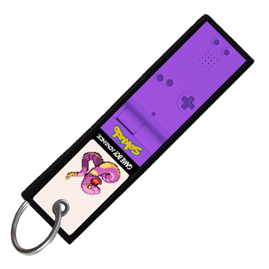 "EKANS GAMEBOY" CUSTOM KEY TAG