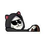 "LUCKY CAT" SOKUDO MOBBIN PEEKER thumbnail