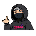 "NINJA" SOKUDO WINDOW PEEKER