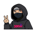 "NINJA" SOKUDO WINDOW PEEKER