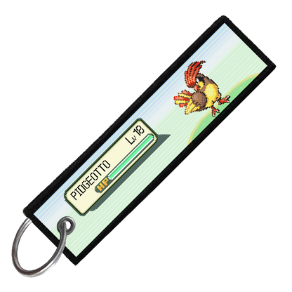 "PIDGEOTTO BATTLE ENCOUNTER" CUSTOM KEY TAG