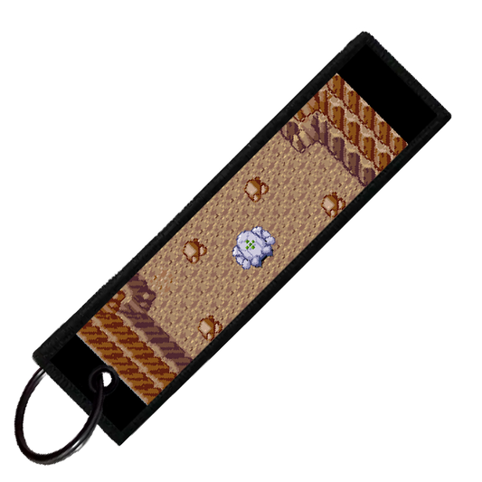 "REGICE SPAWN" CUSTOM KEY TAG