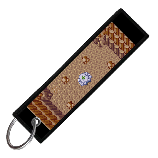 "REGICE SPAWN" CUSTOM KEY TAG