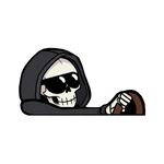 "SKELETON" SOKUDO MOBBIN PEEKER thumbnail