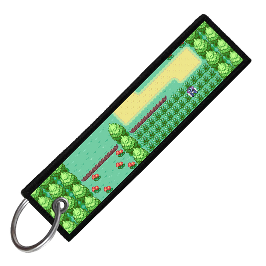 "SUICUNE SPAWN" CUSTOM KEY TAG